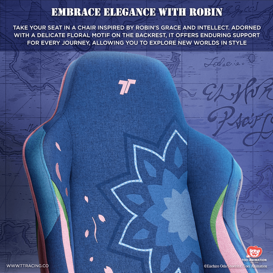 TTRacing Swift X Pro Robin Edition Air Threads Fabric Gaming Chair ...