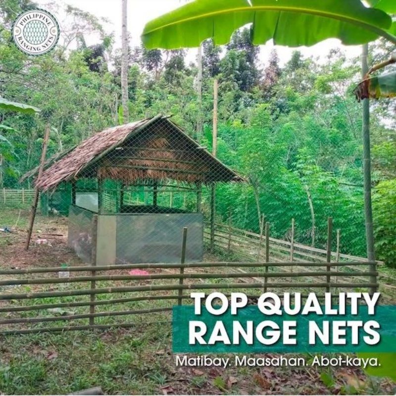 100M/50M Farm Poultry chicken net Farming Net Outdoor Garden Vegetable ...
