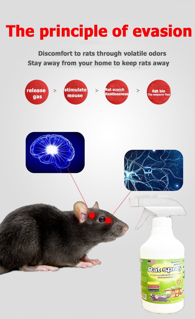 USA Original mighty Rat Repellent Spray Repels Rats From Home And Car ...
