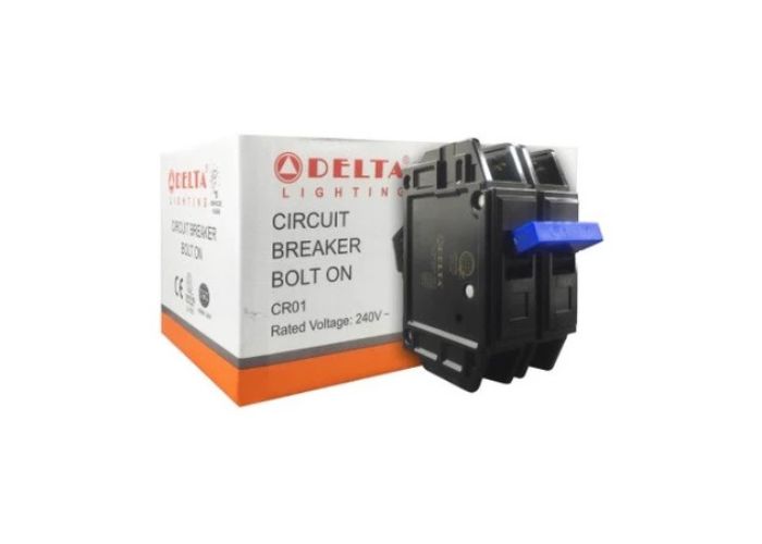Delta Lighting Circuit Breaker Plug In Or Bolt On 2 Pole | Shopee ...