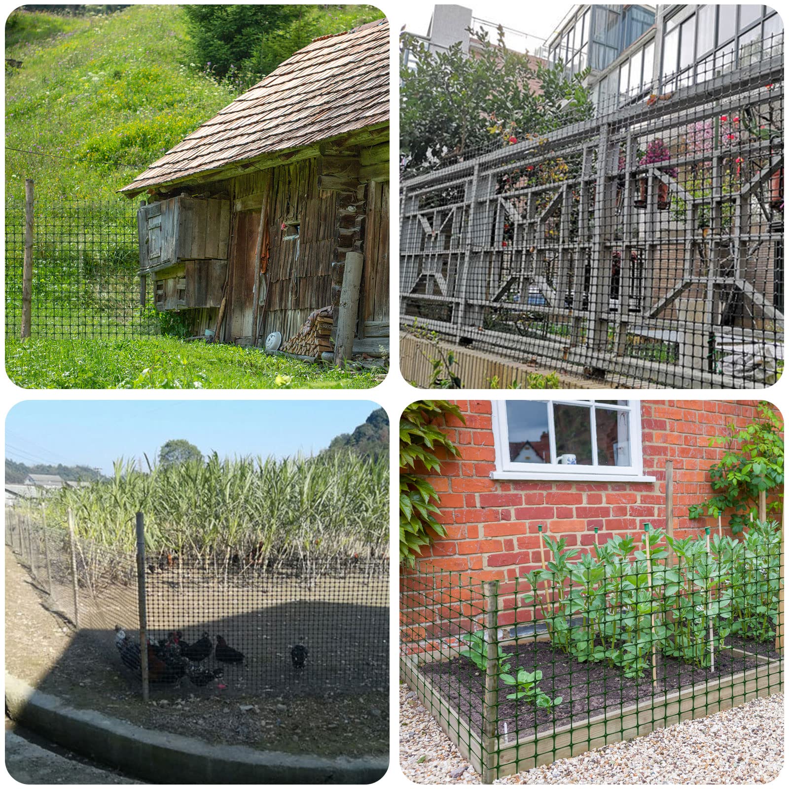 Chicken Net Plastic Fence Mesh 10M/30M/50M- Durable & Flexible Garden ...