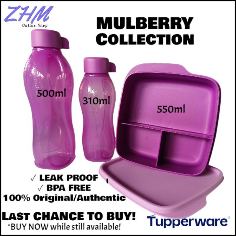 Tupperware Lunchbox + Eco Bottles Bundles (Back To School Promo ...