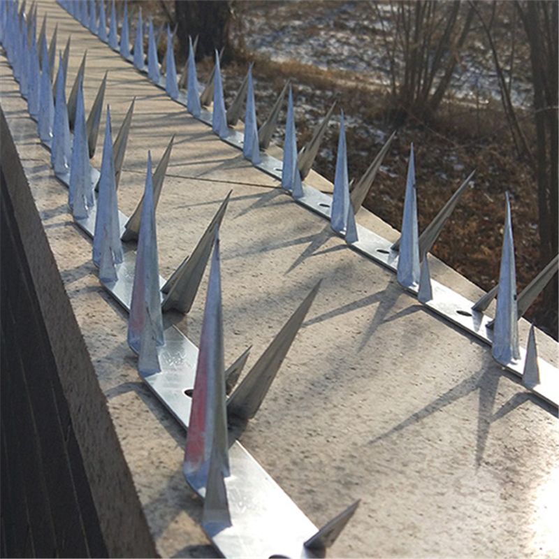 Wall spike fence anti theft 1.25meter stainless steel roof spikes Anti ...