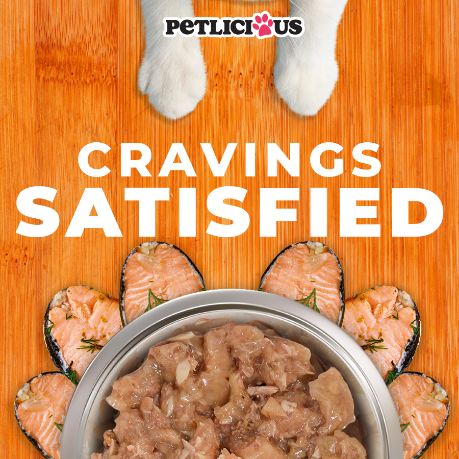 Petlicious Shredded Meat in Jelly Adult Cat and Kitten Wet Food Can ...