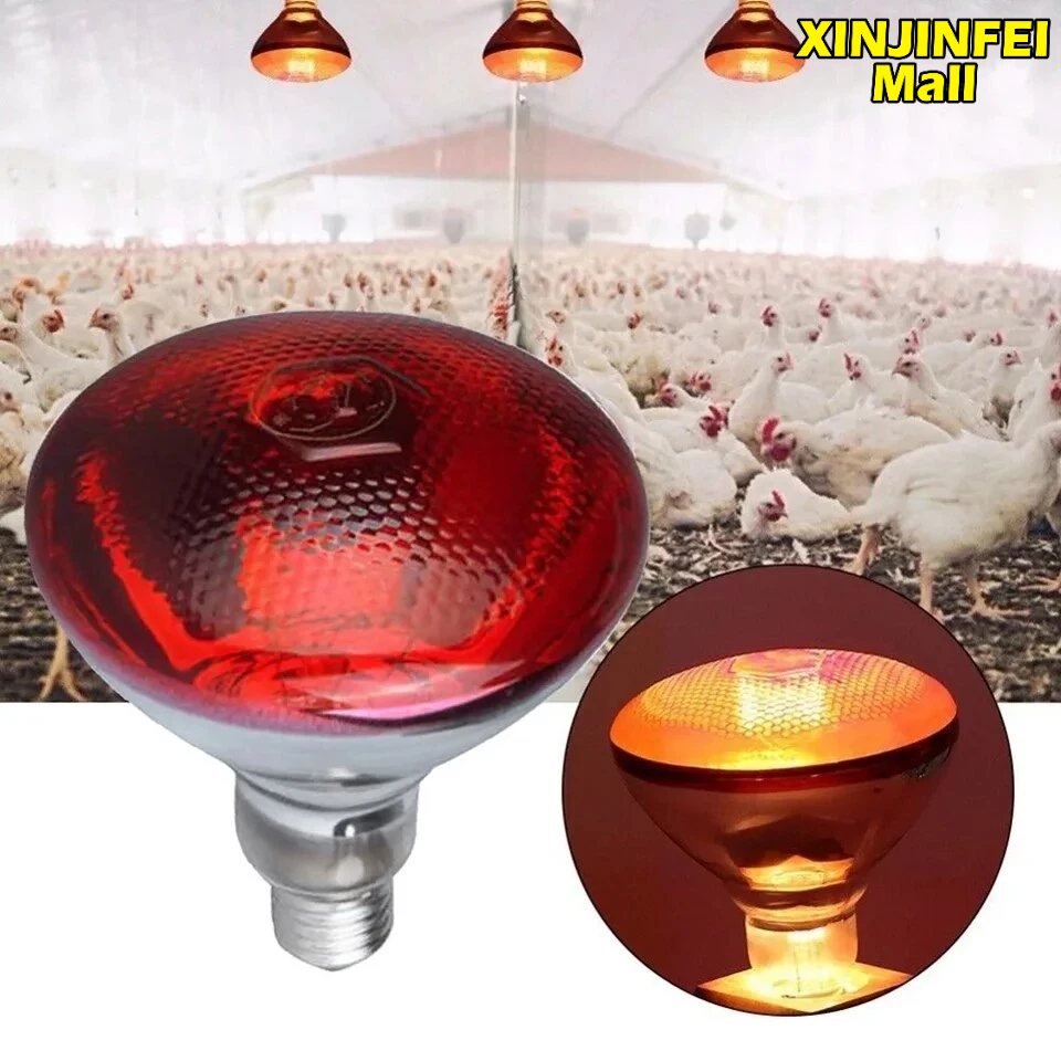 100-watt infrared heating bulb for poultry farms , heat bulb for ...