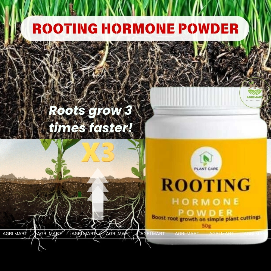Premium Rooting Hormone 50G - Rooting Powder For Fast Plant Growth ...