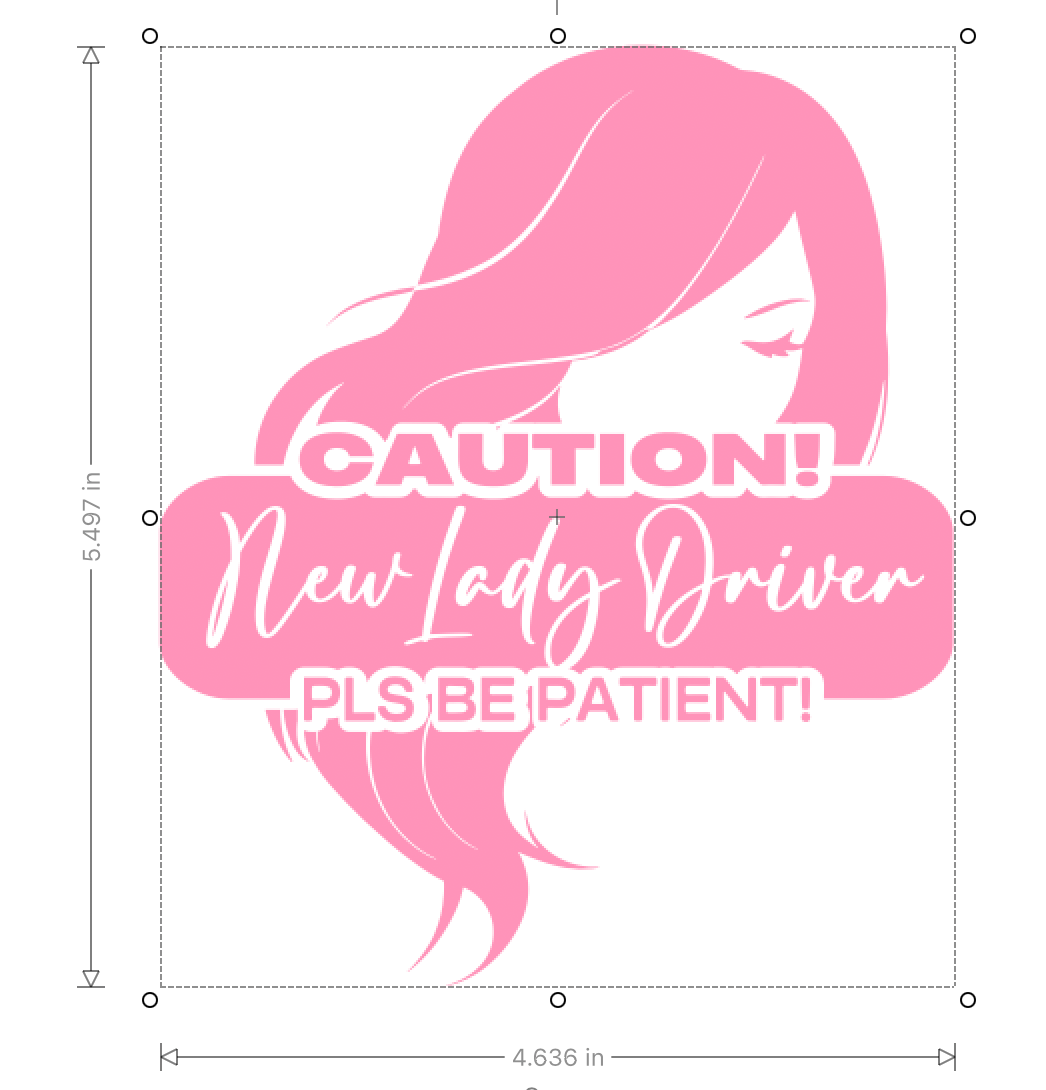 PickNPack - New Lady Driver Car/Ebike/Vehicle Sticker Motorcyle Car ...