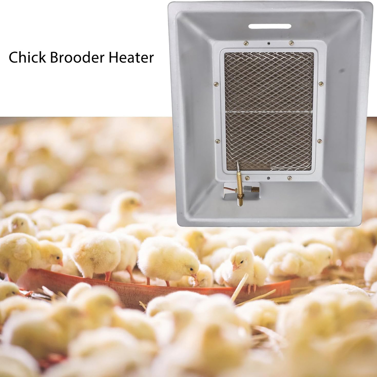 6kw/h Poultry Infrared Gas Brooder Heater Swine For Chicken Duck Pig ...