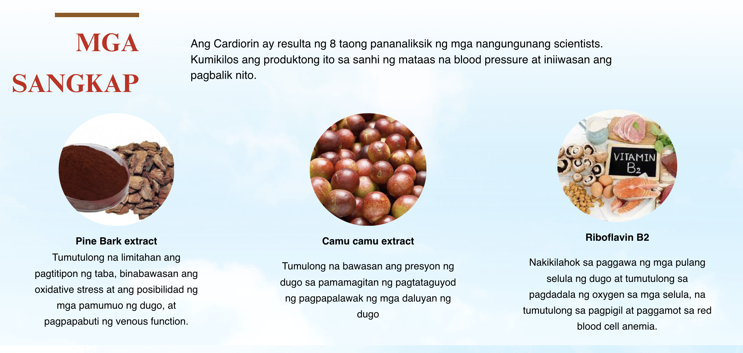 Harvinx Cardiorin 30 Capsules | Hypertension Support | Shopee Philippines