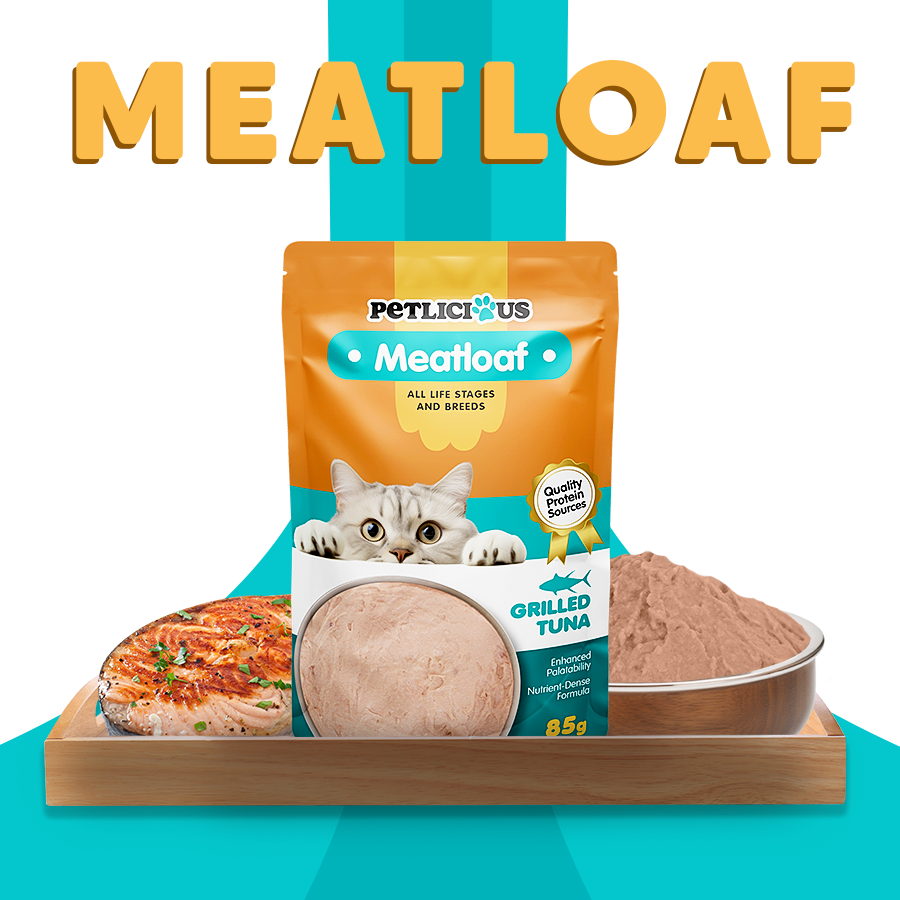 Petlicious Meat Loaf Adult Cat Kitten Wet Food Pouch Chicken Salmon ...