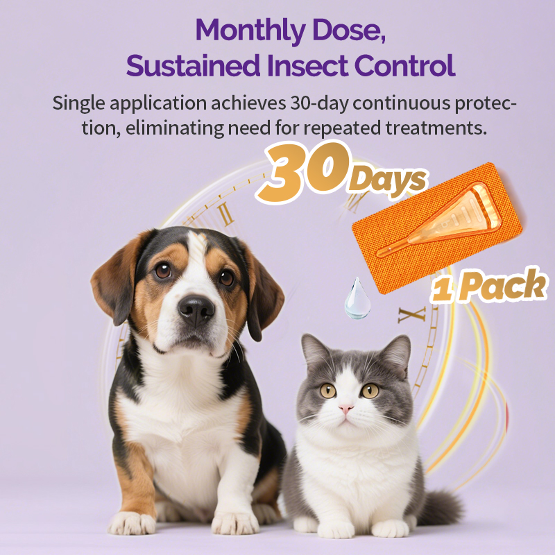 PETVIGOR Tick and Flea Remover For Cat & Dog Repellent Anti-Flea Anti ...