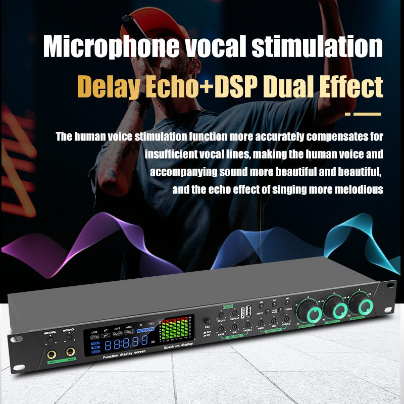 Professional PreReverb Effector, Digital Audio Processor,AntiScreaming ...