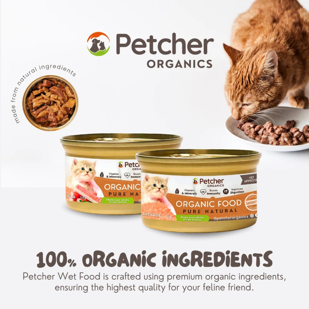 Picture of Petcher Organics Wet Canned Food Cat Real Chicken Fish Flavor 170g 85g ...