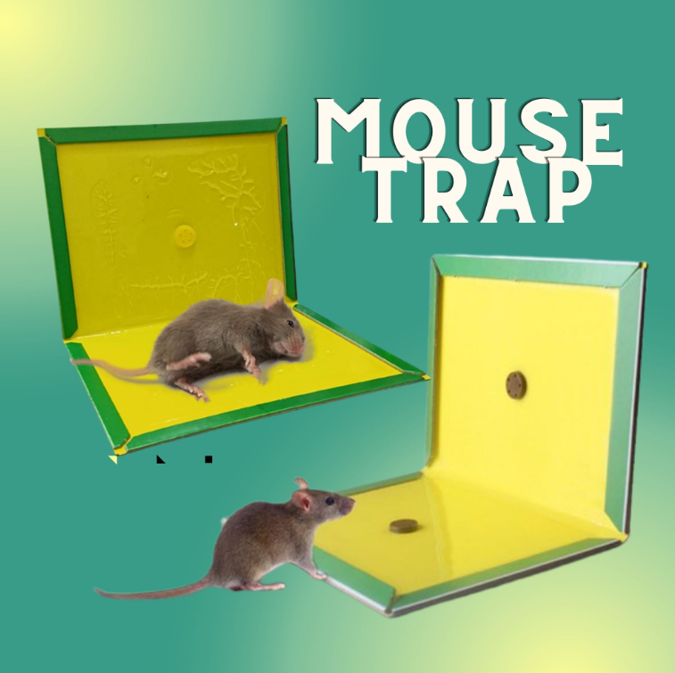 Ulife Mouse trap/Rodent expert/Rat Glue snare/sticker mice | Shopee ...