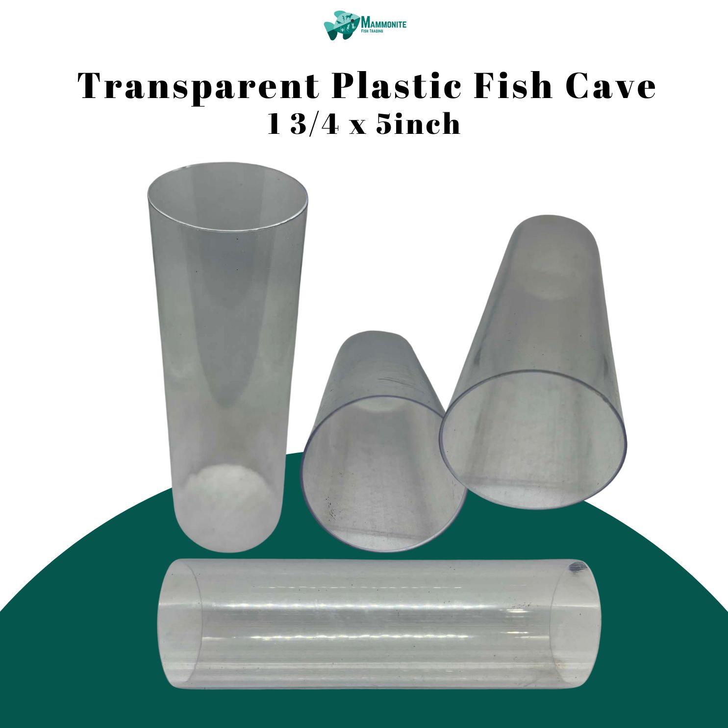 Transparent Plastic Fish Cave 1 3/4 x 5 inch | Shopee Philippines