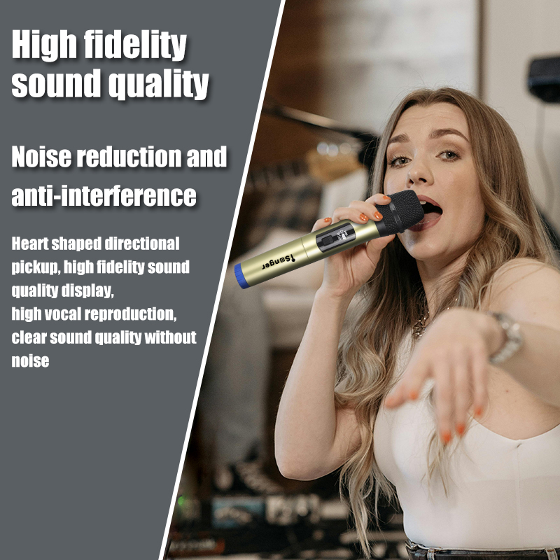 Wireless Dual Handheld Microphone System,UHF Professional Karaoke for ...