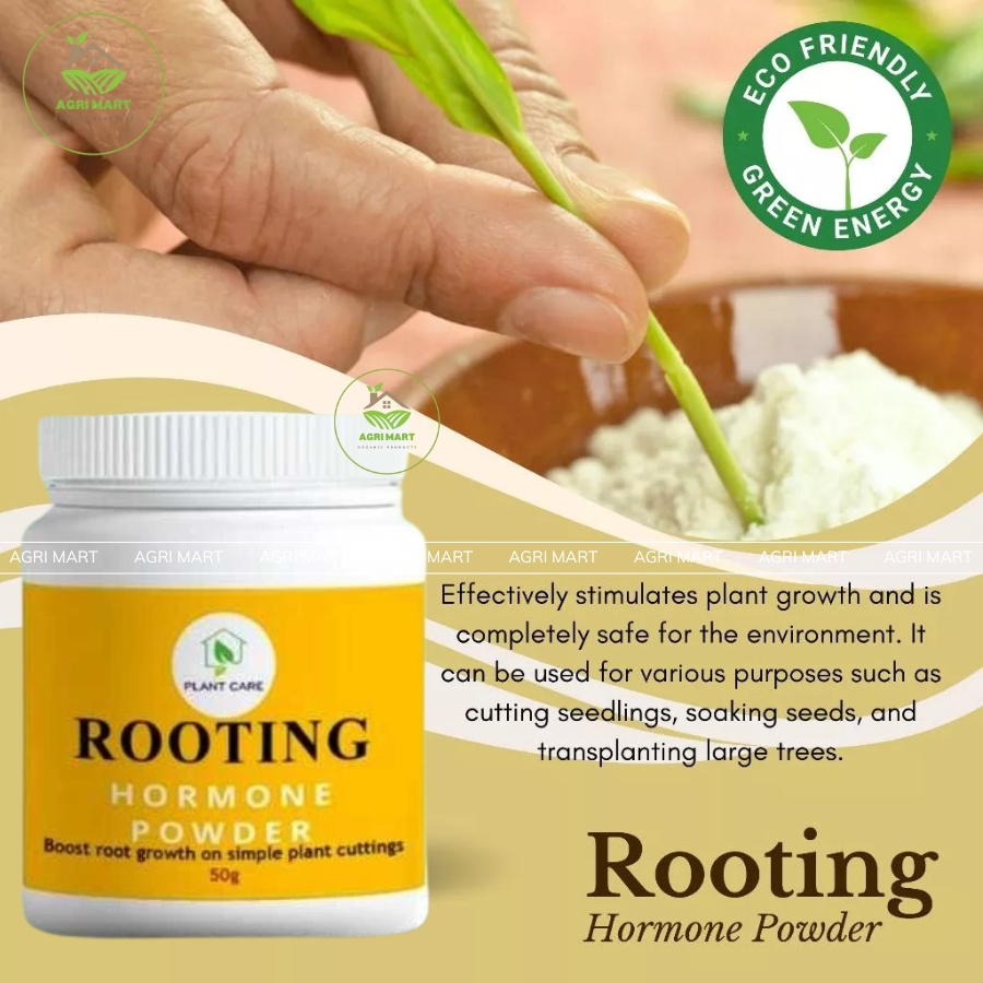 Premium Rooting Hormone 50G - Rooting Powder For Fast Plant Growth ...