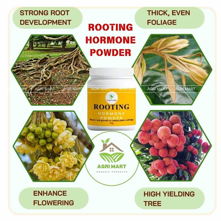 Premium Rooting Hormone 50G - Rooting Powder For Fast Plant Growth ...