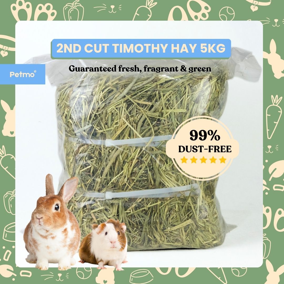 Image showcasing Premium Timothy Hay Second Cut 5kg Mini Bale for Rabbit, Guinea Pig ...