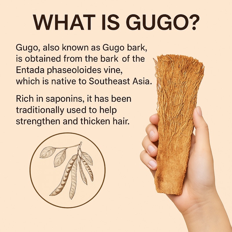 Gugo-Kera Shampoo 1000ml by Althea – Hair Growth, Anti-Hairfall ...