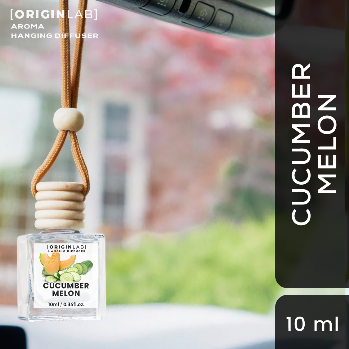 OriginLab- CUCUMBER MELON Hanging Diffuser - Car Freshener - Air ...