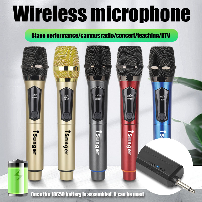 Professional Wireless Microphone Rechargeable UHF Dual Mic Set for ...