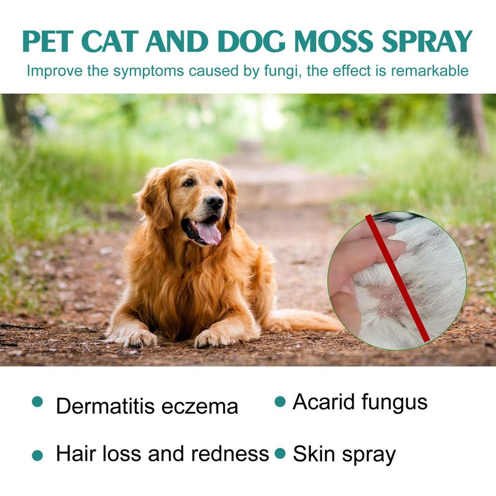 Pet skin treatment spray 500ml Pet Anti fungal Spray Dog Allergies ...