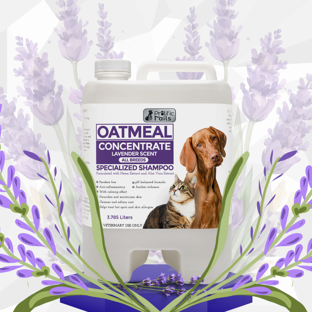 LKJ- For Sensitive Skin, Anti-itch Oatmeal Concentrate Specialized ... - Anti Itch Oatmeal Cat Flea Shampoo