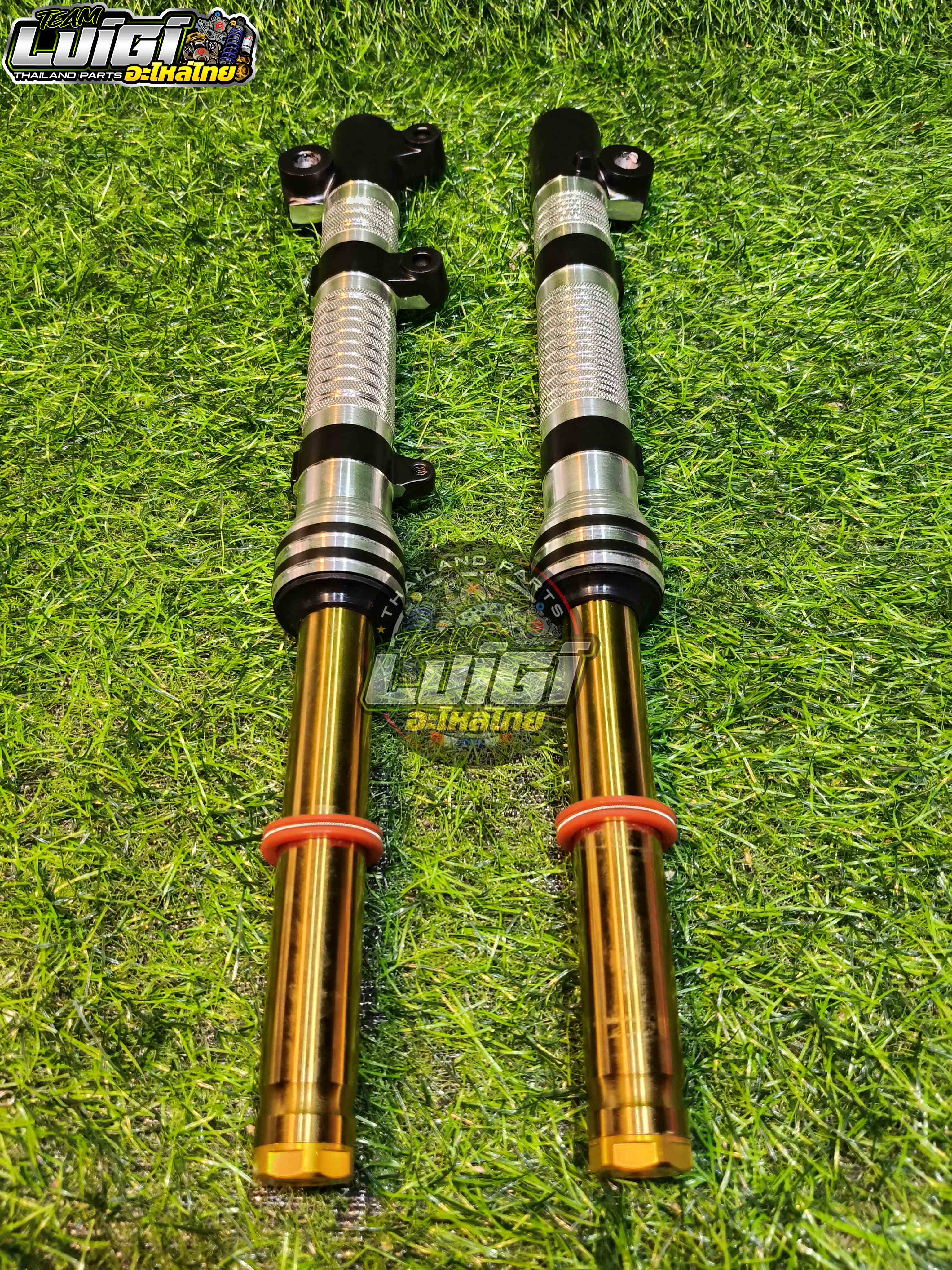 RACE POWER CNC LIGHTEN FRONT SHOCK ASSEMBLY ADJUSTABLE PREMIUM HONDA ...