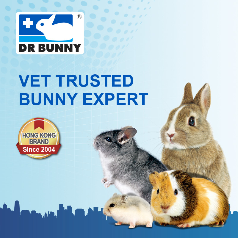 Dr. Bunny Procare™ Rehab Hay Powder (150g) Critical Care Rabbit and ...
