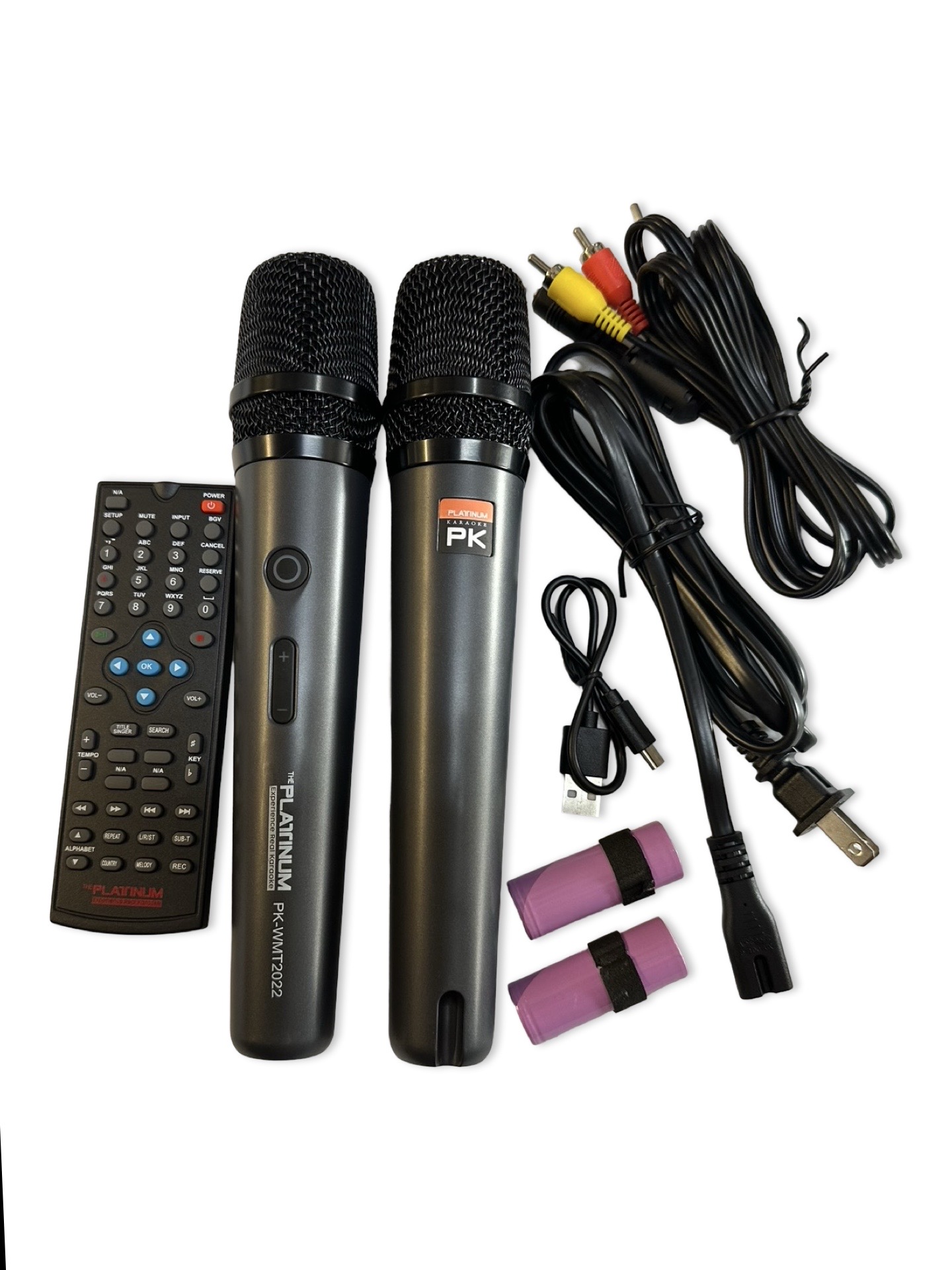 Platinum DK-65 Videoke Party Box All in One karaoke Machine with BT ...