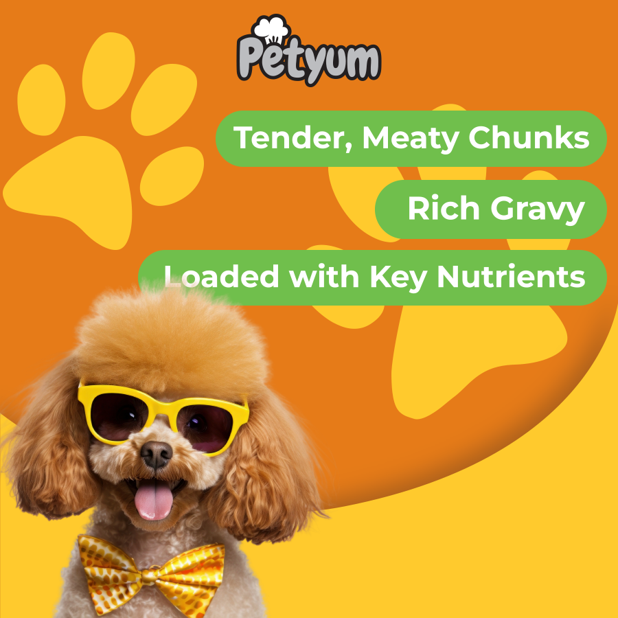 PetYum Chunks Adult Dog Puppy Wet Food Can Beef Chicken Lamb in Gravy ...