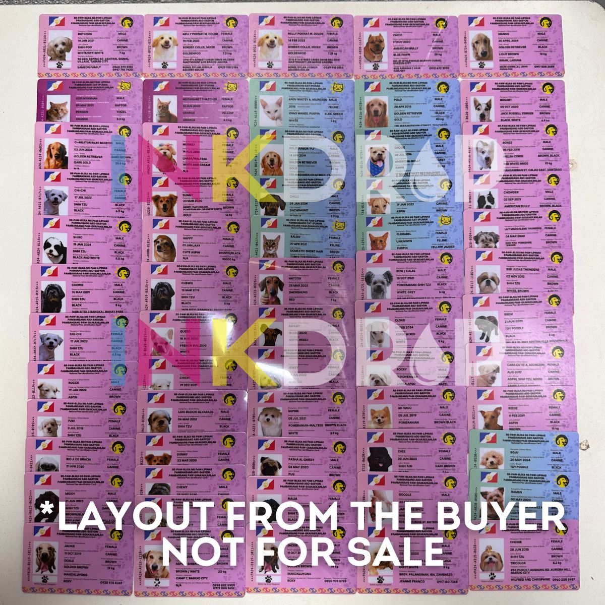 INKDROP PVC ID CARDS - Customize Print PVC ID CARD PHOTOCARD, COMPANY ...