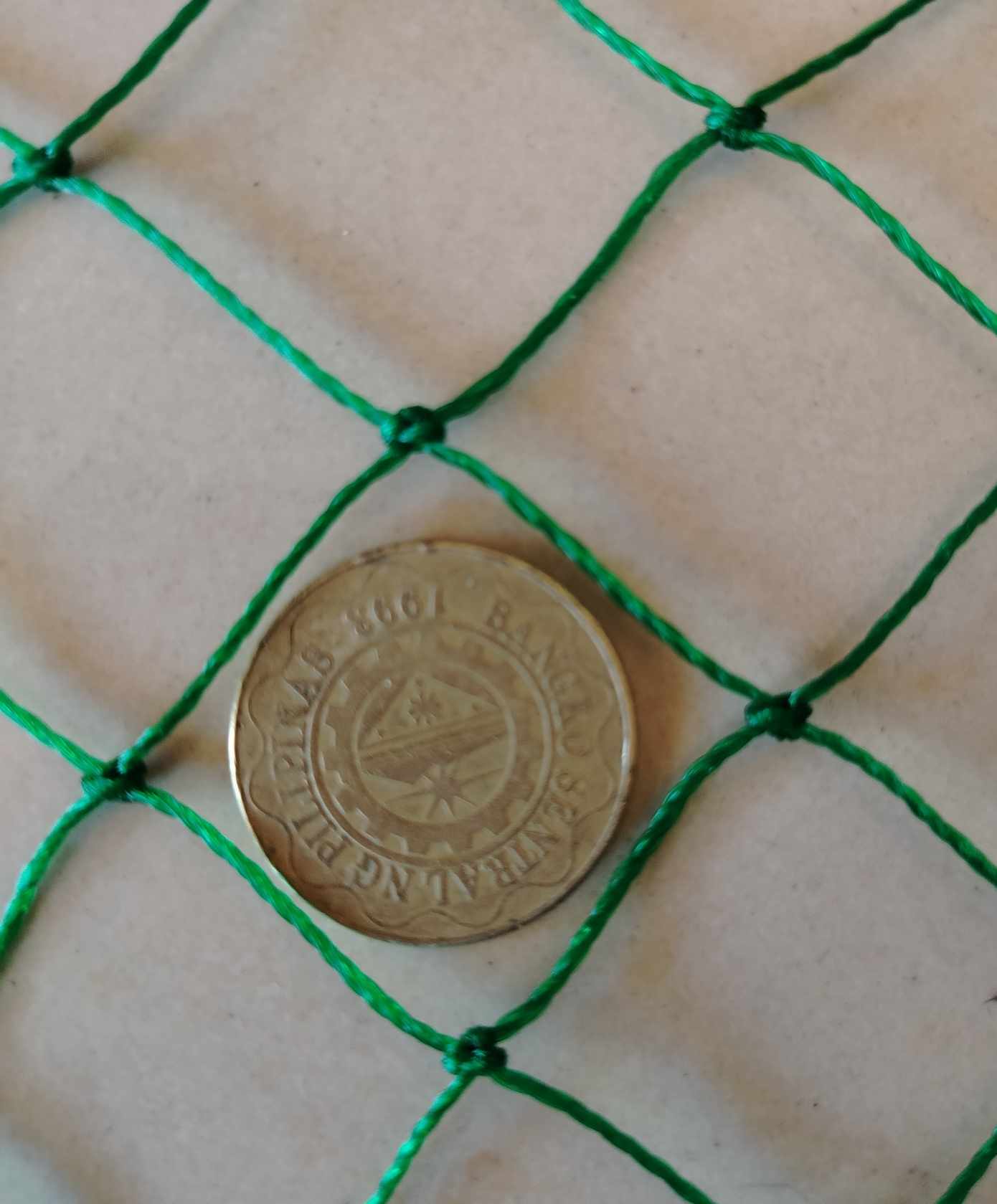 [100 meters - Chicken Net / Farm Net / Poultry Net / Fish Net / Poly ...