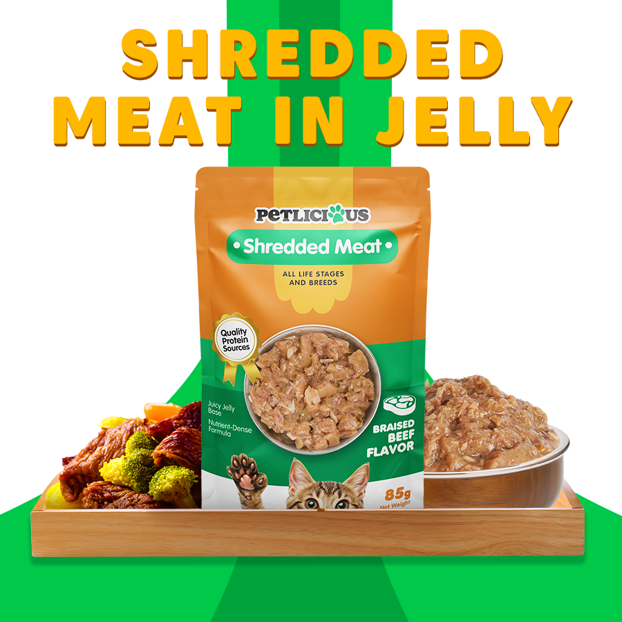 Petlicious Meat Jelly Adult Cat Kitten Wet Food Pouch Chicken Salmon ...