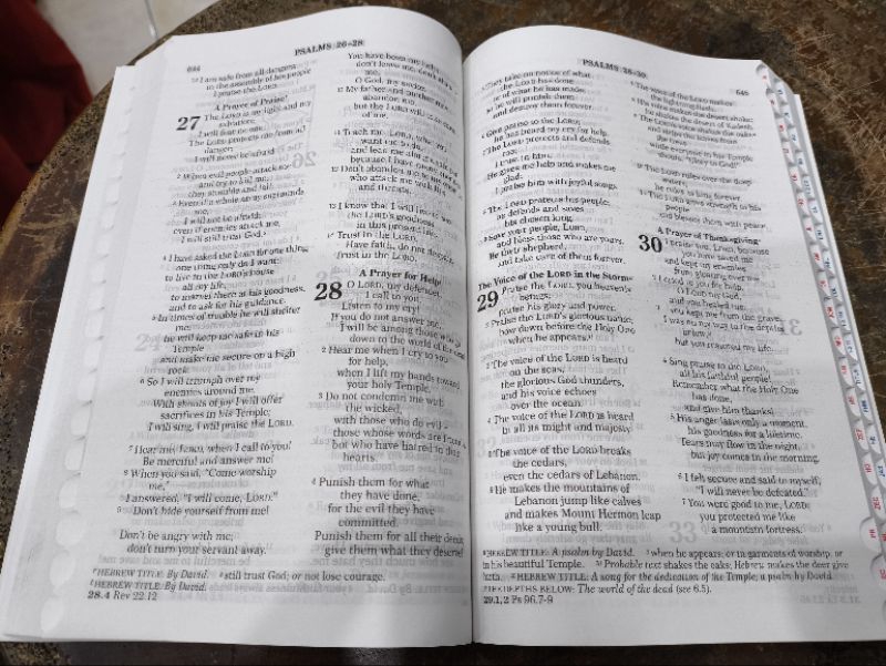 GOOD NEWS TRANSLATION HOLY BIBLE ( GNT ) / OUTREACH BIBLE / PAPERBOUND ...