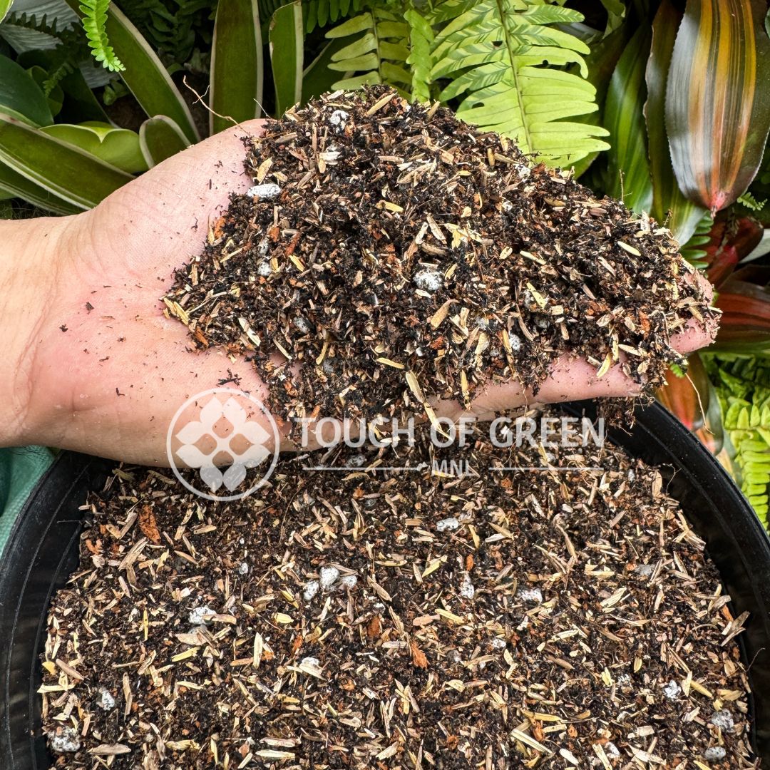 11 LITERS FAST DRAINING SOILLESS MIX | ALL PURPOSE POTTING MIX | Shopee ...