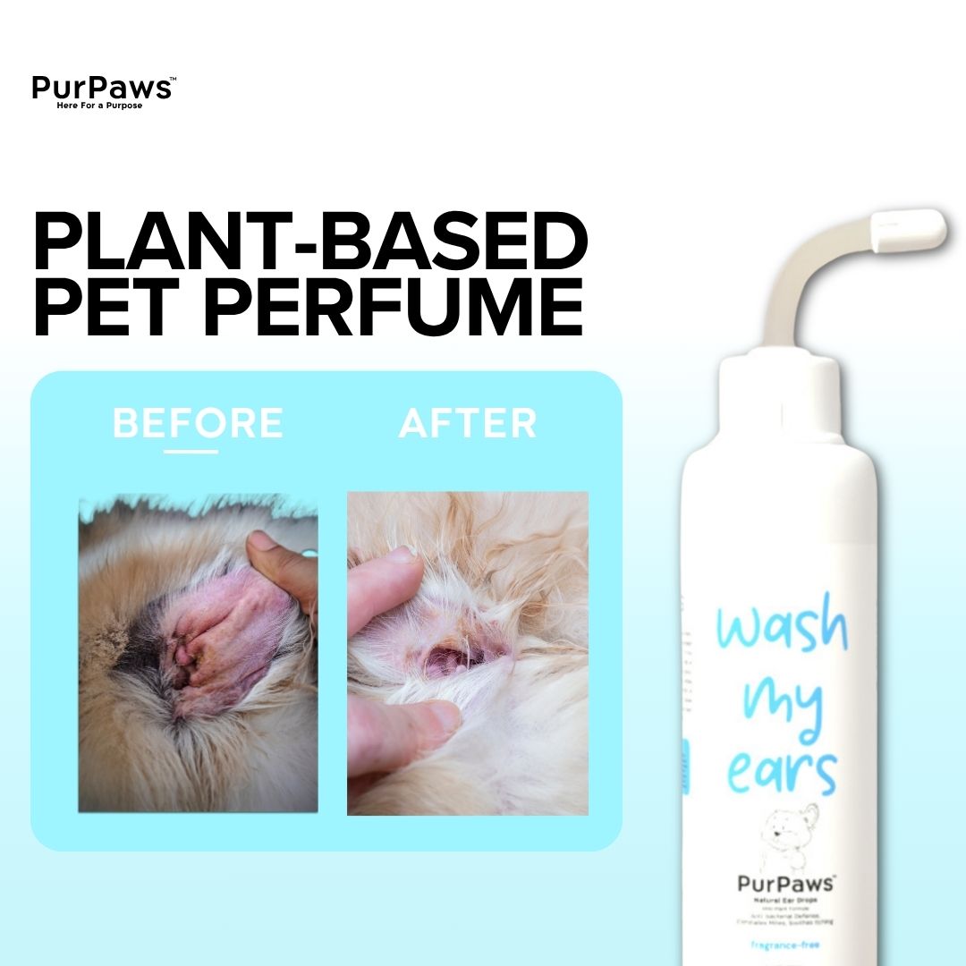 PurPaws Hypoallergenic Ear Cleaning Drops Ear Wash Anti-Ear Mites, Ear ...