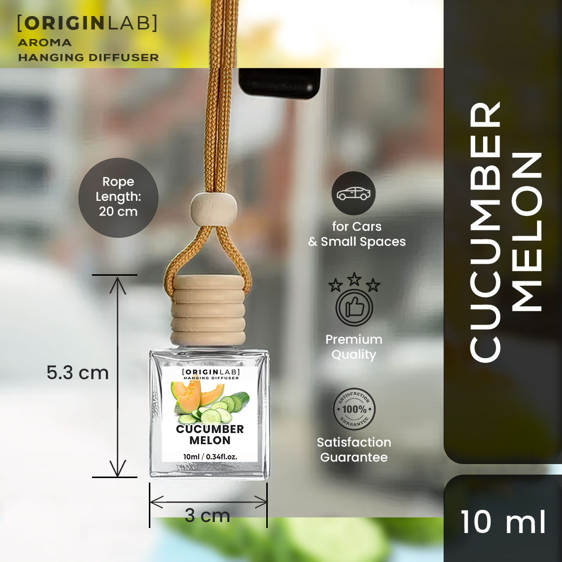 OriginLab- CUCUMBER MELON Hanging Diffuser - Car Freshener - Air ...