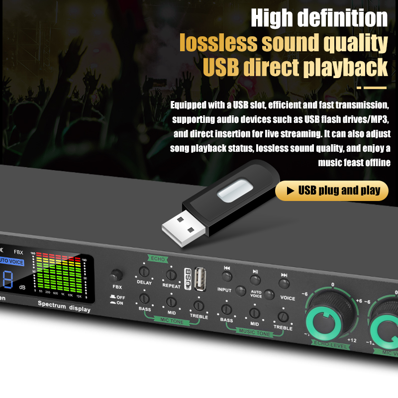 Professional PreReverb Effector, Digital Audio Processor,AntiScreaming ...