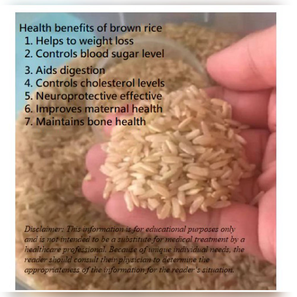 Brown Rice Premium Quality 1 kg | Shopee Philippines