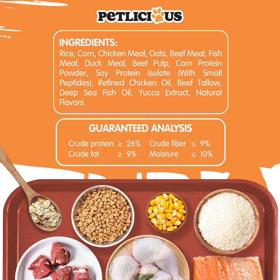 Petlicious Cat Dry Food Salmon and Tuna Flavor 10kg Collection | Shopee ...