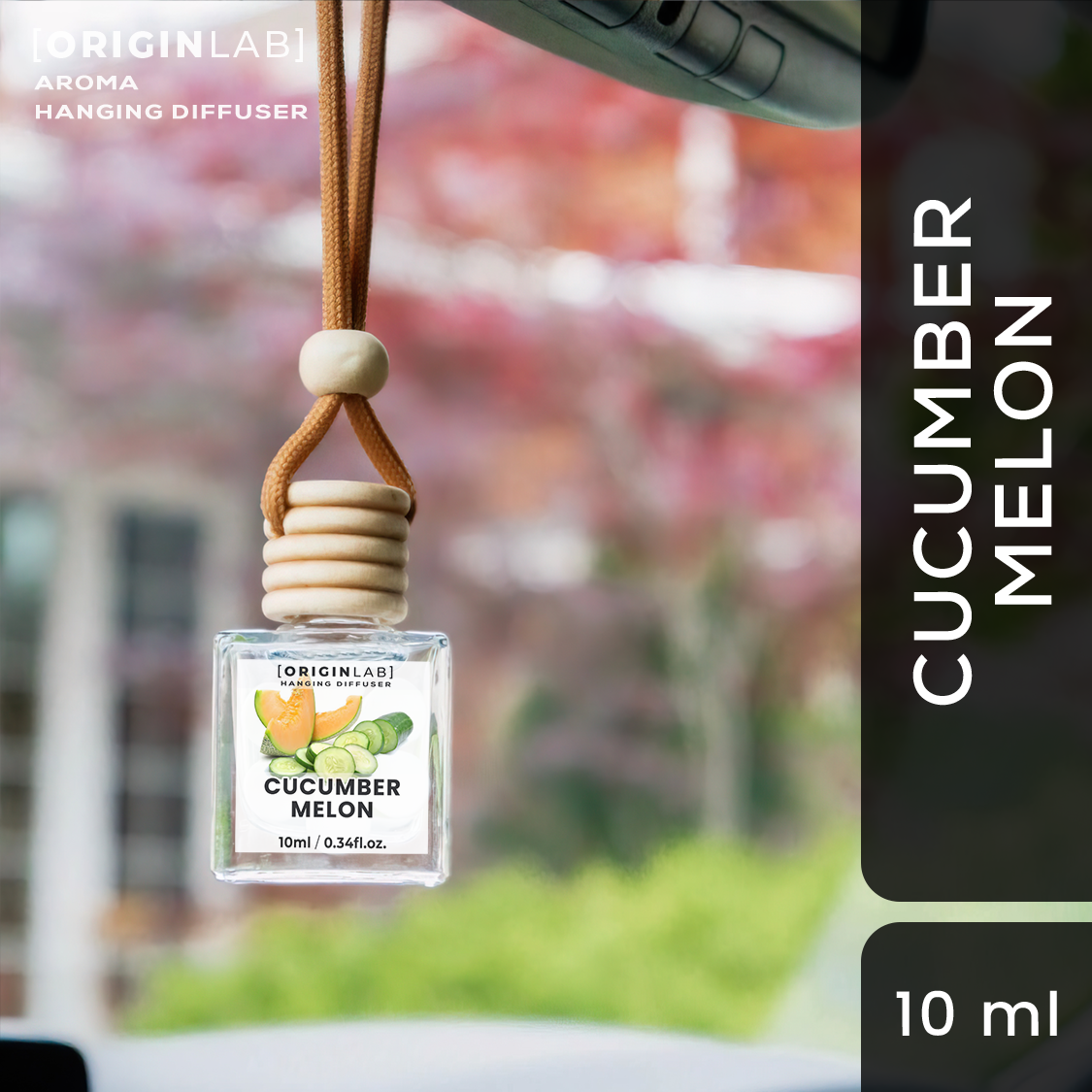 OriginLab- CUCUMBER MELON Hanging Diffuser - Car Freshener - Air ...