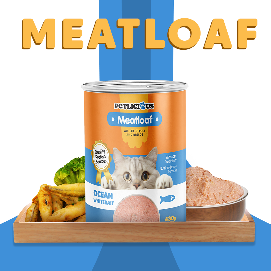 Petlicious Meat Loaf Adult Cat and Kitten Wet Food Can Coastal Mackerel ...