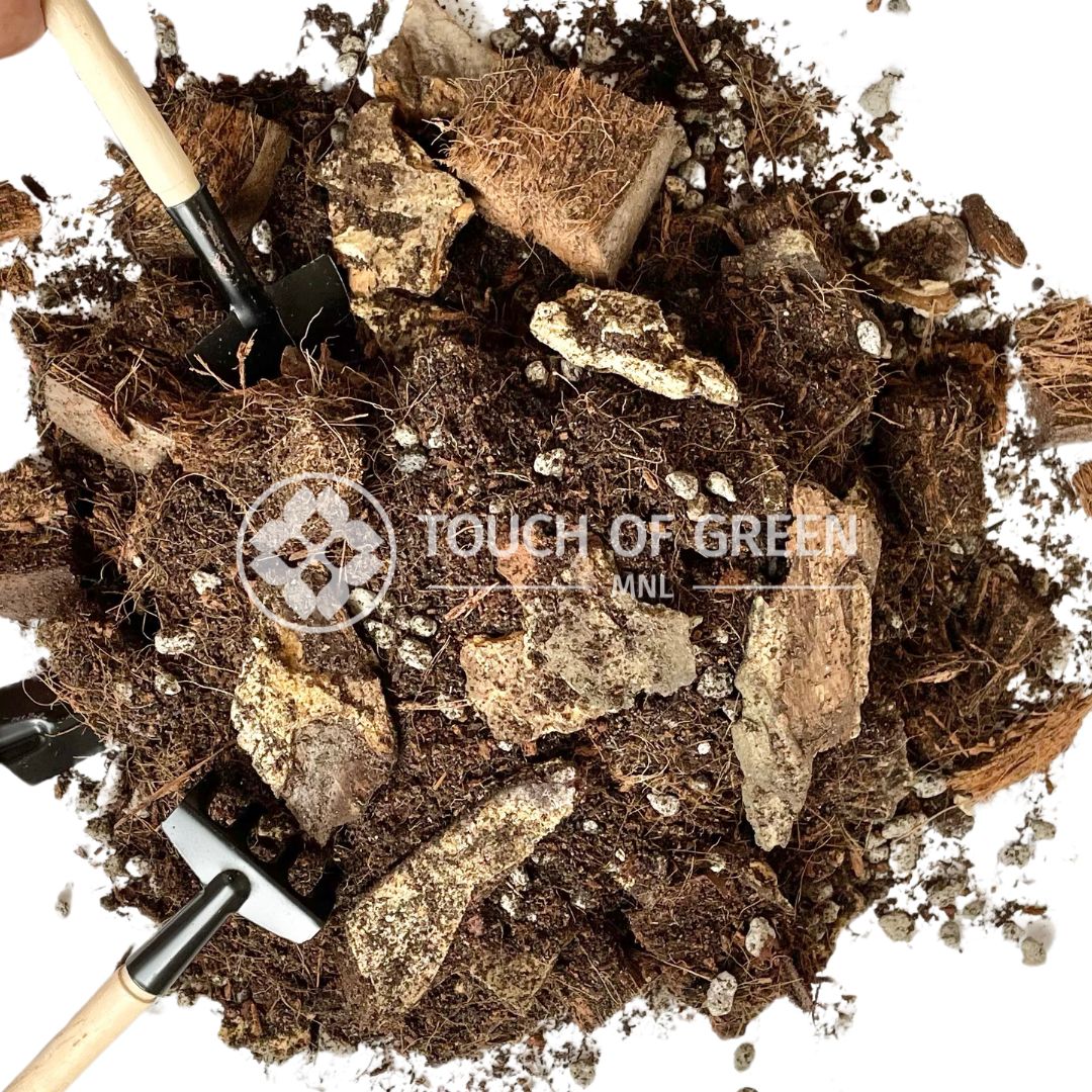 Premium Aroids Soilless Potting Mix (4L, 7L, 11L) | Shopee Philippines