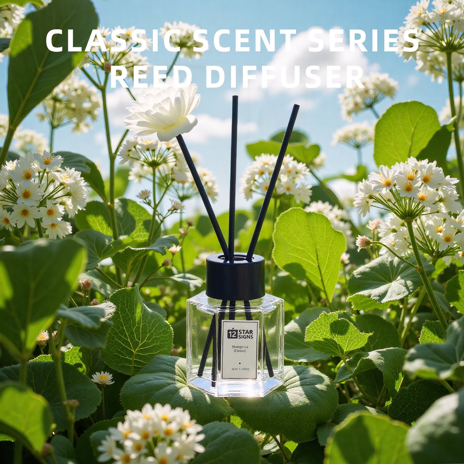12StarSigns Perfume Reed Diffuser Oil Based Home Fragrance Bathroom Air ...