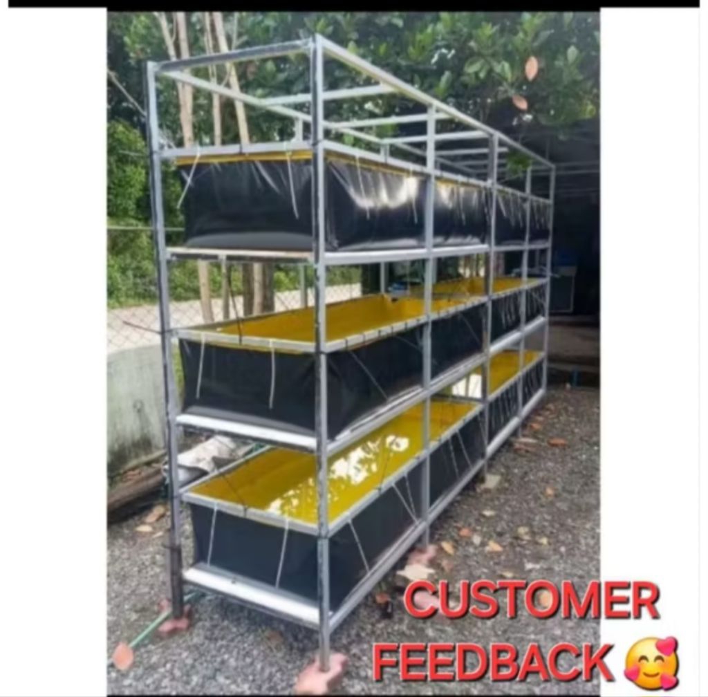 6X2X1FT CRAYFISH TANK FISH POND (PVC TYPE) FISH TANK/AZOLLA POND BED ...