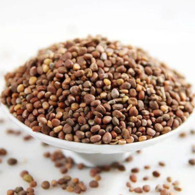 SNOW WHITE RADISH VEGETABLE SEEDS - Buto Ng Labanos Radish White Icicle ...