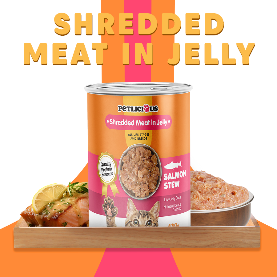 Curated visual reference: Petlicious Shredded Meat In Jelly Adult Cat And Kitten Wet Photo Inspiration