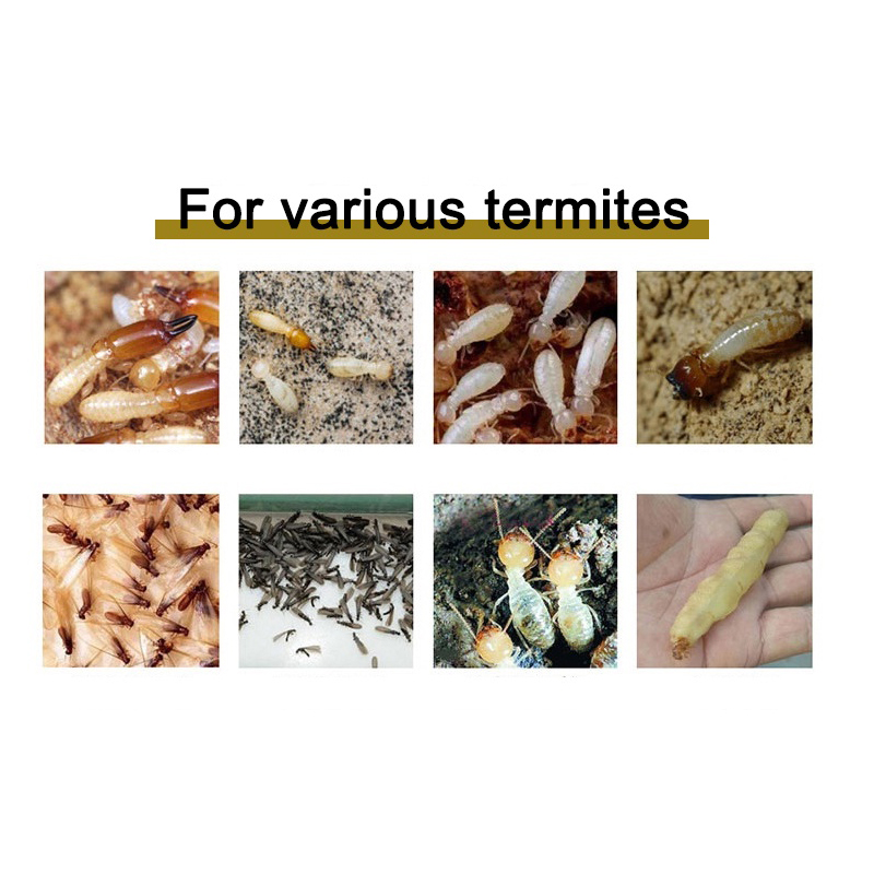 75g Termite Killer Termite Anti Anay Killer Powder Bait for Termite COD ...